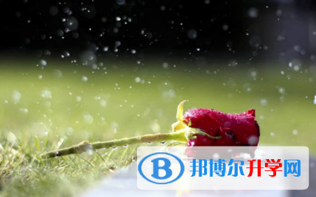 眉山2021年中考報名網址