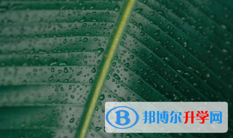 眉山2021年中考網絡應用服務平臺登錄