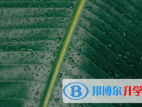 眉山2022年中考網絡應用服務平臺登錄