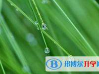 眉山2022年中考網上志愿如何打印