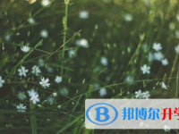 眉山2022年中考調劑志愿是什么意思