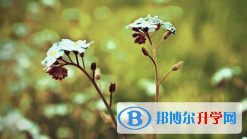 眉山2022年中考志愿可以填幾個(gè)