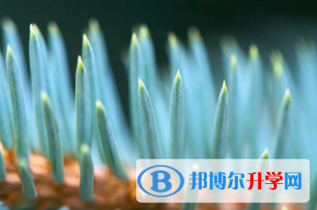 眉山2022年中考志愿如何填報