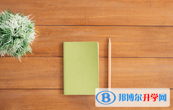 宜賓2022年查詢中考成績用名字可以嗎