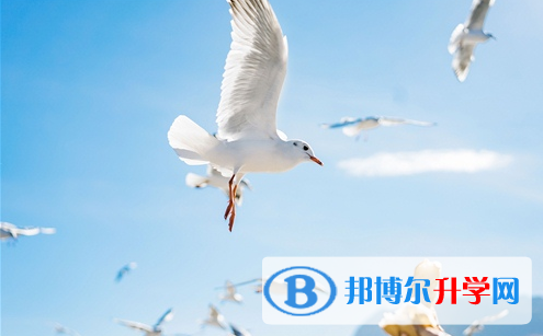 宜賓2022年中考查詢成績網址