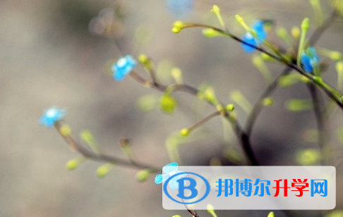 宜賓2022年中考成績(jī)查詢