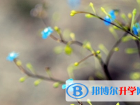 宜賓2022年中考成績(jī)查詢