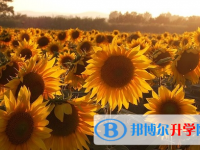 宜賓2022年中考成績(jī)查詢方法