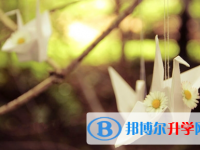 宜賓2022年中考成績(jī)查詢?nèi)肟? /><b>宜賓2022年中考成績(jī)查詢?nèi)肟?/b><span>2021-11-09 14:57</span><p>中考已經(jīng)結(jié)束，馬上中考成績(jī)也將出爐，到時(shí)候孩子們緊繃的神經(jīng)也可以放松下來(lái)。其實(shí)除了高考之外，中考也算我們?nèi)松斜容^大的一</p></a></h3></li>
            <li><h3><a href=