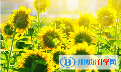 宜賓2022年中考成績公布時間
