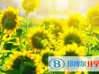 宜賓2022年中考成績(jī)公布時(shí)間