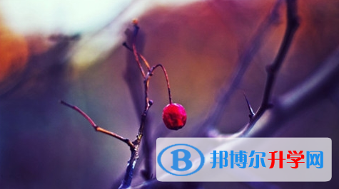 宜賓2022年中考成績如何查詢