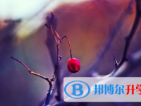 宜賓2022年中考成績(jī)?nèi)绾尾樵? /><b>宜賓2022年中考成績(jī)?nèi)绾尾樵?/b><span>2021-11-09 15:56</span><p>中考之后，學(xué)生和家長(zhǎng)也還未脫離緊張的氣氛，依舊緊張的等待著中考成績(jī)的公布。大家還是要保持平常心以積極的姿態(tài)去面對(duì)，中考成</p></a></h3></li>
            <li><h3><a href=