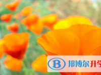 宜賓2022年中考成績(jī)什么時(shí)候出來(lái)