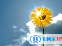 宜賓2022年中考成績(jī)什么時(shí)間知道
