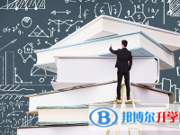 宜賓2022年中考在哪查詢成績(jī)