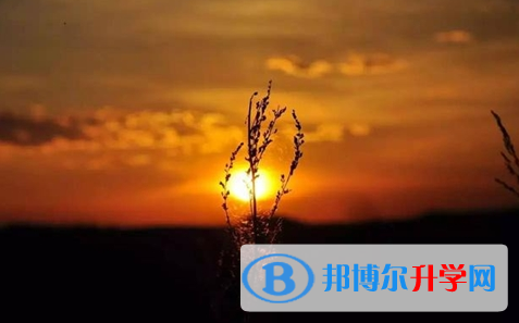 宜賓2022年生物中考會考試卷