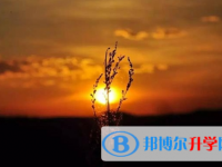 宜賓2022年生物中考會(huì)考試卷