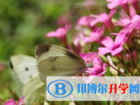 宜賓2022年中考報(bào)考攻略