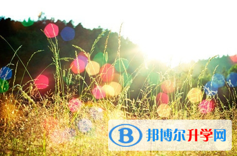 宜賓2022年中考報考人數