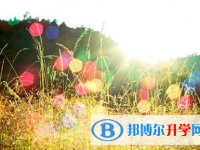 宜賓2022年中考報(bào)考人數(shù)