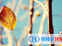 宜賓2022年中考報(bào)考指南