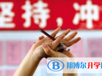 宜賓2022年中考報(bào)名號(hào)