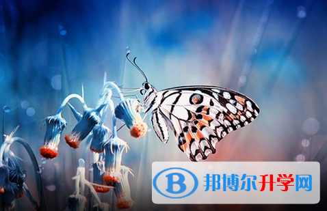 宜賓2022年中考查詢網址