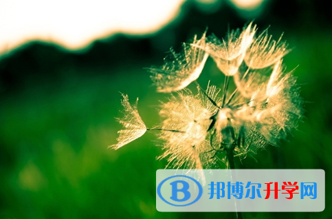 宜賓2022年中考成績(jī)查詢(xún)時(shí)間