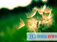 宜賓2022年中考成績(jī)查詢時(shí)間