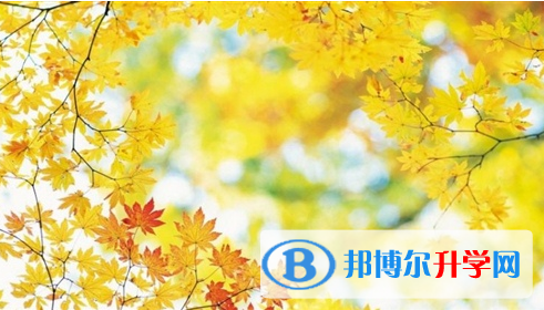 宜賓2022年中考服務(wù)應(yīng)用平臺