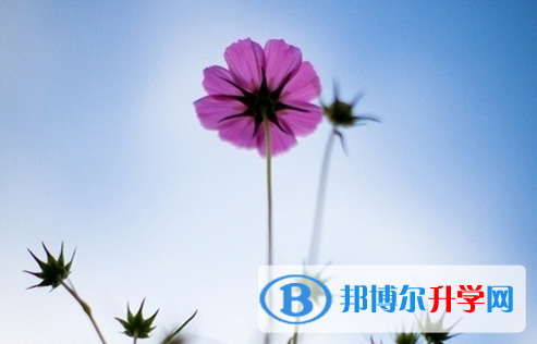 宜賓2022年中考規則