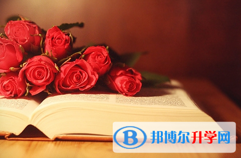 宜賓2022年中考考點