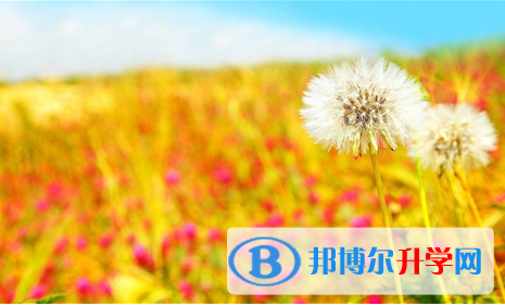宜賓2022年中考錄取報名網