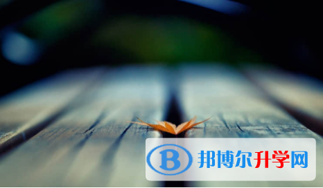 宜賓2022年中考網上報名模擬