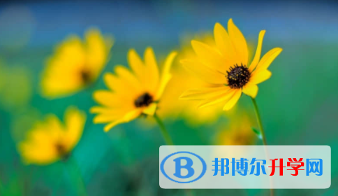 宜賓2022年中考網(wǎng)上報(bào)名系統(tǒng)
