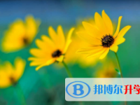 宜賓2022年中考網上報名系統