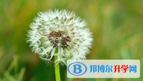 宜賓2022年中考網上查詢