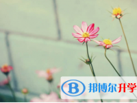 宜賓2022年中考網(wǎng)上模擬報(bào)名