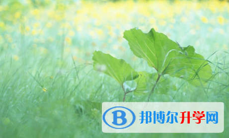 宜賓2022年中考網中考查詢