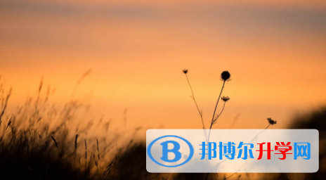 宜賓2022年中考信息服務平臺