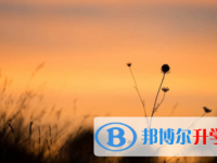 宜賓2022年中考信息服務(wù)平臺(tái)