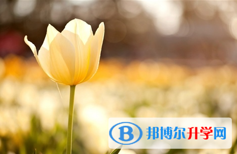 宜賓2022年中考志愿官網
