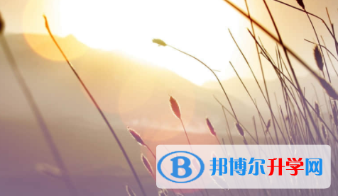 宜賓2022年中考的統招和調劑說明