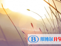 宜賓2022年中考的統(tǒng)招和調(diào)劑說明