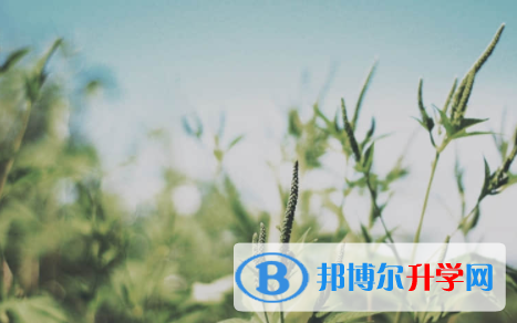 宜賓2022年中考技巧和注意事項