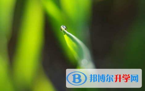 宜賓2022年中考應對策略