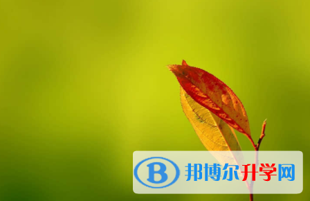 宜賓2022年中考是否有高價生