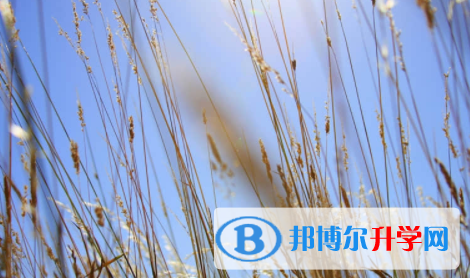 宜賓2022年中考如果未被錄取怎么辦
