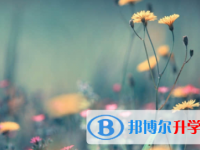 宜賓2022年中考沒考好怎么辦